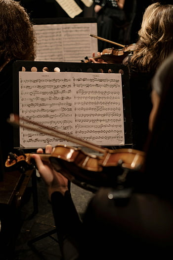 orchestra, violinist, performance, sheet music, instrument, classical music, concert, musician, musical performance, violin, orchestra performance