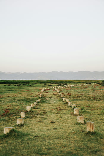 grass field, hills, horizon, tranquil landscape, lush grasslands, distant hills, dawn, path, natural scenery, outdoor view, serene environment