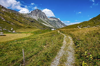 engadin, Grisones, naturaleza, Suiza, montañas, alpino, paisaje, Valle, prado, campos, pasto