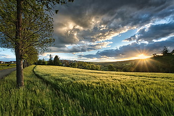 západ slunce, louka, tráva, slunečního světla, cereálie, pole, krajina, hora, Příroda, nebe, mraky