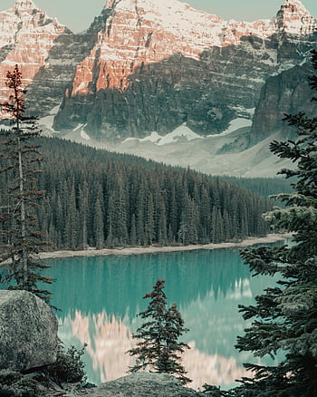 morénové jezero, zasněžené hory, borové lesy, pohled, horské odraz, tyrkysové vody, přírodní krajina, kanadských skal, národní park banff, Venkovní krása, klidné prostředí