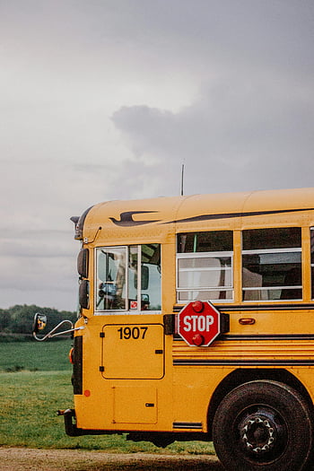 žlutý školní autobus, venkovské oblasti, Pardeeville Wisconsin, pohled, zaparkovaný autobus, světle žlutá, stopka, školní doprava, venkovní nastavení, krajina krajiny, exteriér vozidla