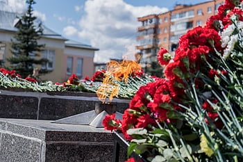 den vítězství, věčný plamen, 9. května, Rusko, Paměť, vítězství, Dovolená, karafiát, květiny, památník, pamětní