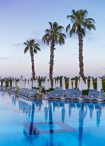 swimming Pool, vacation, holiday, pool, poolside, resort, holidays, locations, chair, bright, outdoors