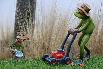 diegarten Professionals, garden, gardener, gardening, shovel, spring, spade, lawn Mower, lawn, horticulture, summer
