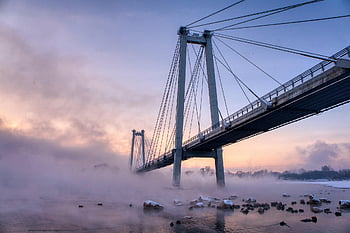 řeka, led, mráz, mlha, yenisei, město, Krasnojarsk, Rusko, sníh, Kachny, voda