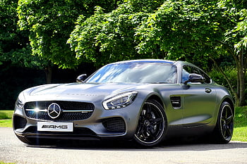 Mercedes-Benz AMG GT Coupe, silver car, green leaf tree, outdoor parking, luxury vehicle, elegant design, AMG brand, high-performance car, stylish automobile, Mercedes-Benz model, outdoor setting
