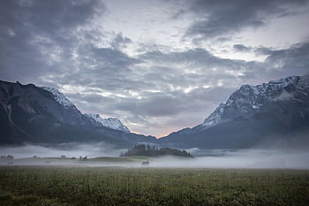 alam, perjalanan, eksplorasi, di luar rumah, alpen, morgen, nebel, sonnenaufgang, piala rakyat