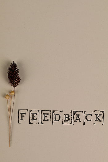 jehličnatý kužel, zpětná vazba, Minimalistický koncept, přírodní prvky, neutrální pozadí, slovo umění, návrh textu, jednoduché složení, Botanické prvky, sušené rostliny, typografie