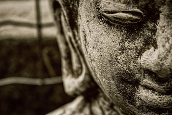 umění, Buddha, uklidnit, duchovní, zen, náboženství, buddhismus, Buddha Purnima, Thajsko, buddhista, duchovno