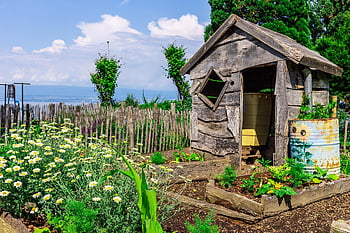 garden, flower, nature, hut, lake