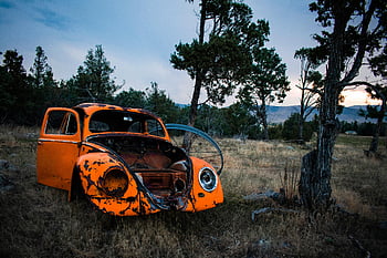Rusty Orange Volkswagen Beetle, abandoned car, scenic outdoor setting, surrounded by trees, vintage car, orange car, rusted vehicle, outdoor landscape, Volkswagen Beetle, classic car, nature background