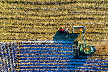aerial view, green field, tractors harvesting, corn field, Minnesota agriculture, top view, drone capture, vibrant aerial, farming scene, agricultural machinery, harvest season
