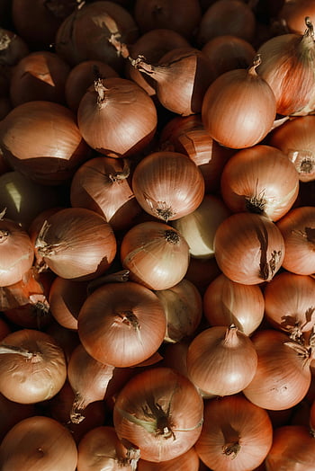 colpo di testa, cipolle, vista ravvicinata, cipolle biologiche, luce naturale, uno stile di vita sano, prodotti freschi, fattoria fresca, fotografia vegetale, fotografia di cibo, ingredienti naturali