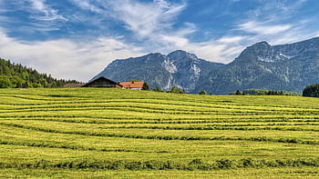 krajina, horní Bavorsko, chiemgau, inzell, Příroda, hory, stromy, pastviny, zelená, panoráma, prázdnin