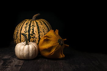 dýně, zelenina, jídlo, squash, vyrobit, sklizeň, stálý život