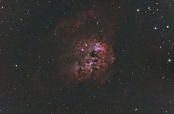 IC 410, Tadpoles nebula, wide field, 3 minute exposures, L-Ultimate Filter, WO 61, Bortle 7.5, 183MC Pro, iOptron GEM28, December 2022