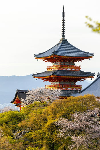 kiyomizu-dera tempel, Kyoto, japan, Kirsebær blomster, forår, smuk udsigt, traditionel arkitektur, kulturelle vartegn, historisk sted, naturlige skønhed, rejsemål