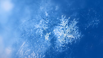snowflake, snow, winter, ice, ice Crystal, cold, nature, hd Wallpaper, texture, macro, closeup