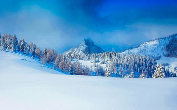 Paesaggio innevato, alberi gelidi, chiaro cielo blu, natura invernale, vista panoramica, montagne coperte di neve, scena tranquilla, scenario invernale, terreno innevato, panorama montano, foresta gelida