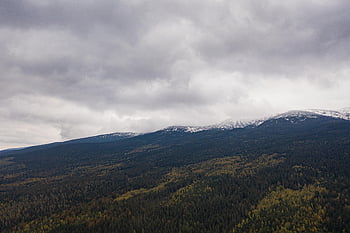 hory, les, stezka, dobrodružství, letecký, karkonosze, krkonoše, Riesageberge, cestovat, krajina, Evropa