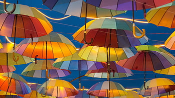 umbrella, colorful, decoration, umbrellas, color, parasol, background, texture, ceiling, guarda Chuva, colorido