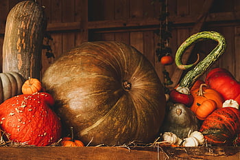 dýně, squash, podzimní odměna, dřevěný povrch, detail, odrůdy zeleniny, podzim sklizeň, tykve, sezónní produkce, rustikální displej, sklizně
