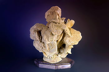 rosa del deserto, minerale, cristallo, gesso, pietra sedimentaria, deserto, sabbia, ornamentale, mineralogia, geologia, decorativo