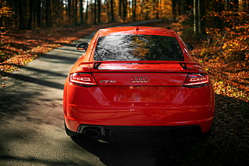 red Audi, autumn forest, colorful leaves, sports car, driving through, fall season, scenic road, vibrant colors, nature backdrop, luxury vehicle, TT RS