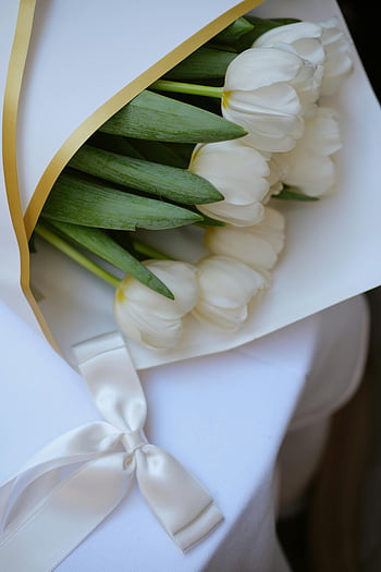 white tulips, bouquet, satin ribbon, wedding flowers, romantic settings, soft white tulips, floral arrangement, white flowers, elegant bouquet, wedding bouquet, romantic bouquet