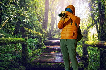 man, casual, jackets, hood, backpack, digital Camera, dslr, photographing, jungle, wood, wet