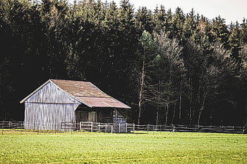 chata, dřevo, Příroda, krajina, les, stromy, Dům, budova, venkovský, lupy, rustikální