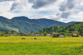 krajina, horní Bavorsko, chiemgau, louka, pastvina, stromy, hora, umístění, jaro, zelená, rekreace