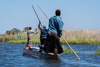 botswana, Afrika, tok, safari, voda, okavango, okavango delta, loď, strom