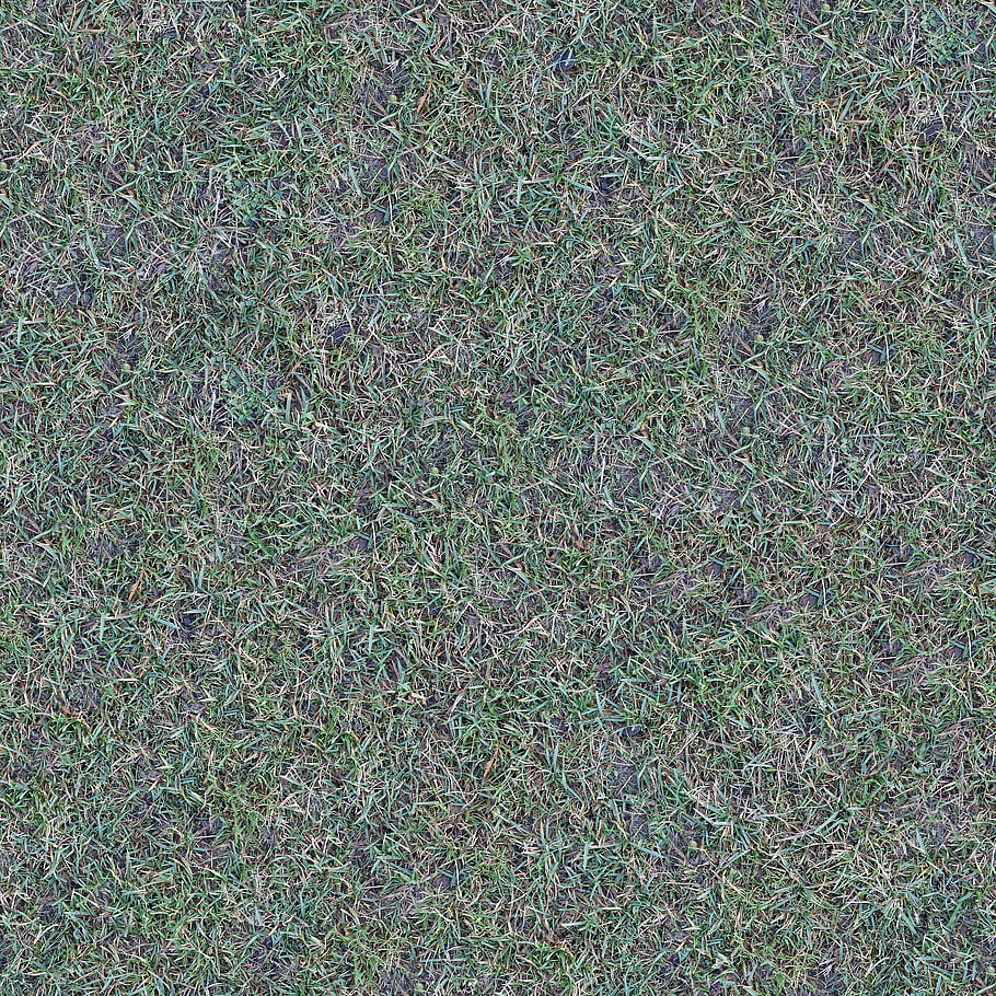 textura, bezešvý, tileable, tráva, přízemní, Příroda