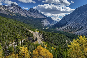 montagne, foresta, valle, strada, campagna, catena montuosa, alberi, boschi, paesaggio, montagna rocciosa, scenario