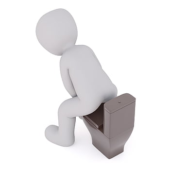 toilet, defecation, pee, wc, go To The Toilet, hygiene, to Sit, urinate, business, loo, toilets