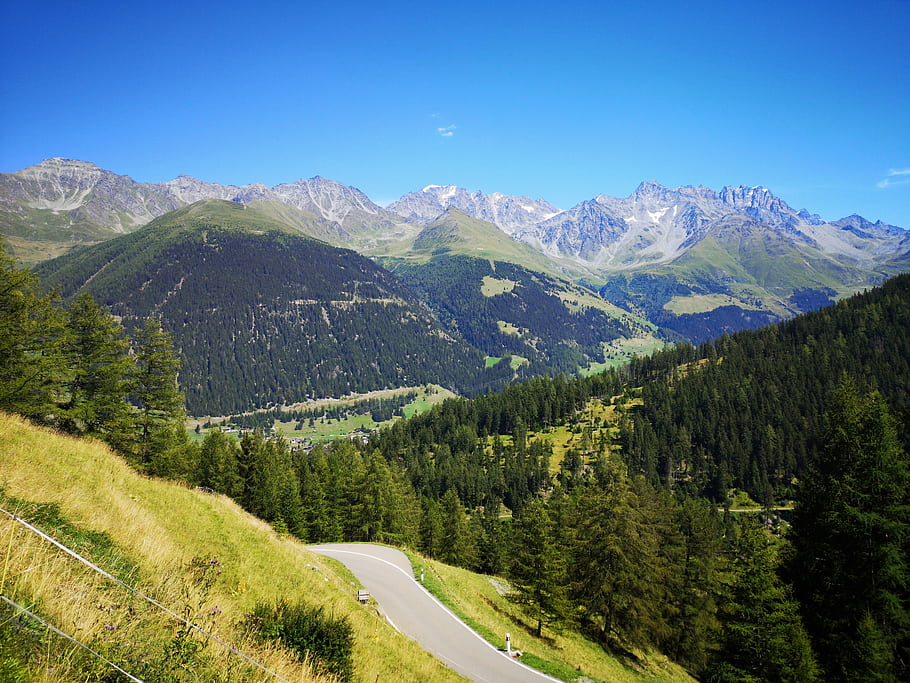 mountains, road, trees, green valley, clear sky, canton du Valais, Switzerland, alpine landscape, winding road, forest, hills