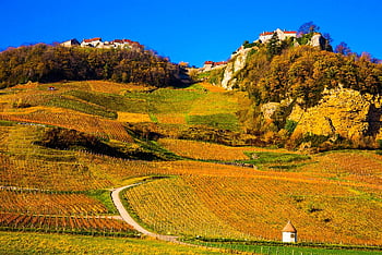 Hügel, Felder, Landschaft, Ackerland, Schloss Chalon, Mittelalter, Stadt, Dorf, Landwirtschaft, ländlich, Berg, Natur