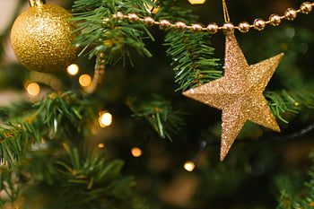 árbol de Navidad, estrella dorada, ornamento, luces brillantes, decoraciones festivas, de cerca, enfoque selectivo, vacaciones, resplandecer, ornamento estrella, balón de Oro