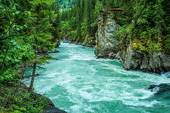 Fluss, grünblättriger Baum, Serene River, üppiger Wald, Waldschlucht, Schönheit der Natur, gewundener Fluss, grüne Bäume, natürliche Landschaft, Waldbach, türkisfarbenes Wasser