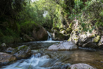 peru, moray, ollantaytambo, gangs, macchu Picchu, pisac, tourism, wonderful, quechua, archeology, nature