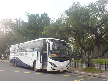 Philippine High School for the Arts, school bus, PICC, Pasay, CCP Complex, Hino, Grandecho, Philippines, PBPA, Philippine Bus Photographers Association, trees