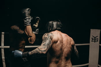 box, Tetované boxery, sparing, Disly osvětlená tělocvična, dovednost, síla, Černé boxerské rukavice, tělocvična, tetovaný, stíhači, everlast
