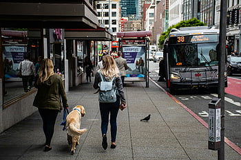 women walking, side street, bustling city, sidewalk, urban life, bus, cityscape, pedestrians, dog walking, street scene, public transportation