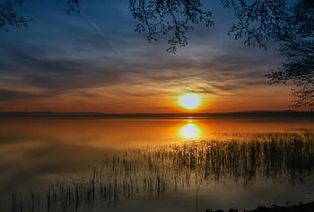 sunset, wetlands, grass, sun, dusk, twilight, silhouette, trees, backlighting, water, nature