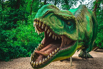dinosaurus, dinosauří park, Modelka, prehistorie, prehistorický, zvíře, dravec, gad, zuby, nebezpečný, lov