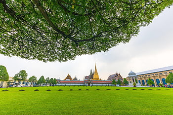lawn, pagoda, palace, yard, building, historic, historical, heritage, monastery, tourist Attraction, emerald Pagoda