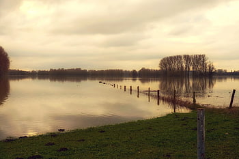 fiume, alluvione, banca, acqua, allagamento, cambiamento climatico, disastro, Reno, disastro delle inondazioni, riflessione, livello dell'acqua