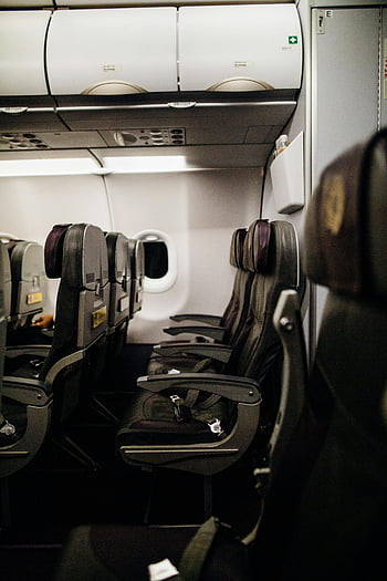 liner seats, airplane seats, modern airliner, cabin interior, empty seats, row of seats, comfort design, airplane cabin, travel seating, aircraft seating, passenger seats